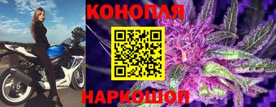 гидра Тверь