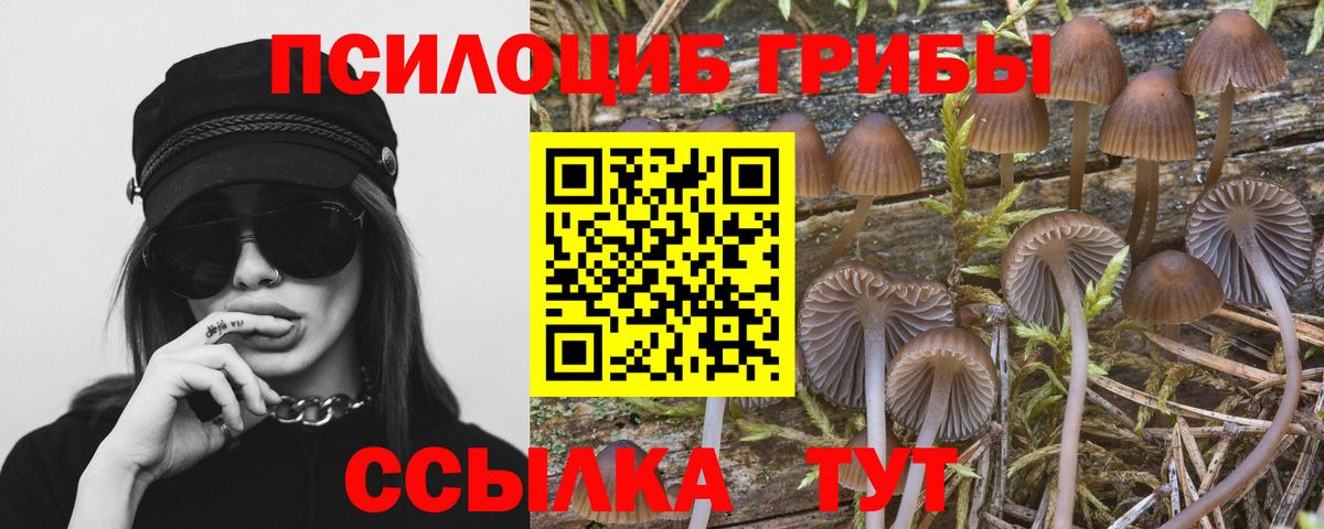 Псилоцибиновые грибы мухоморы Северобайкальск
